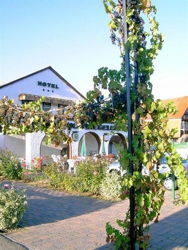 Gutshof Ziegelhuette Otel Edenkoben Dış mekan fotoğraf